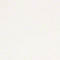 Quartz Countertops Tampa Florida